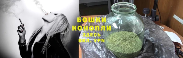 дурь Аркадак