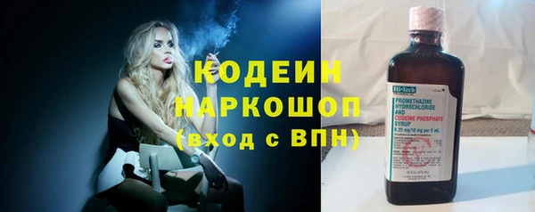 прущий лед Арсеньев