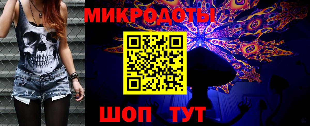 Псилоцибиновые грибы Cubensis Новозыбков
