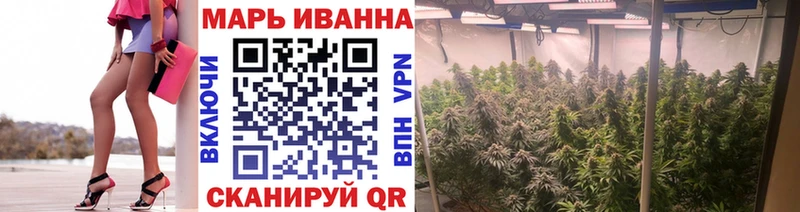 Конопля сатива  hydra онион  Новозыбков 