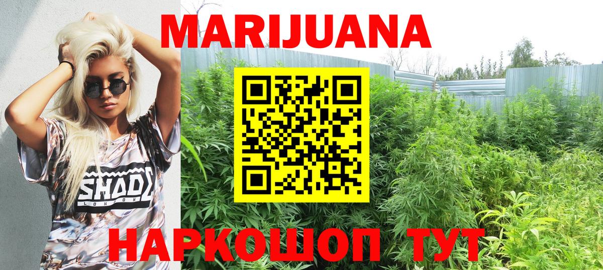 Шишки марихуана OG Kush Новозыбков